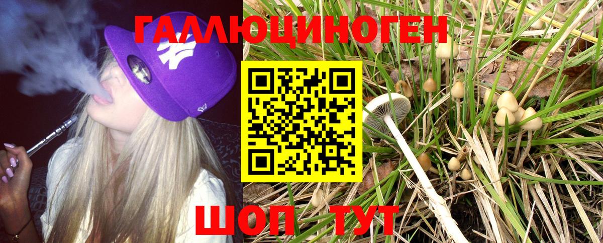 Псилоцибиновые грибы GOLDEN TEACHER Нижнеудинск