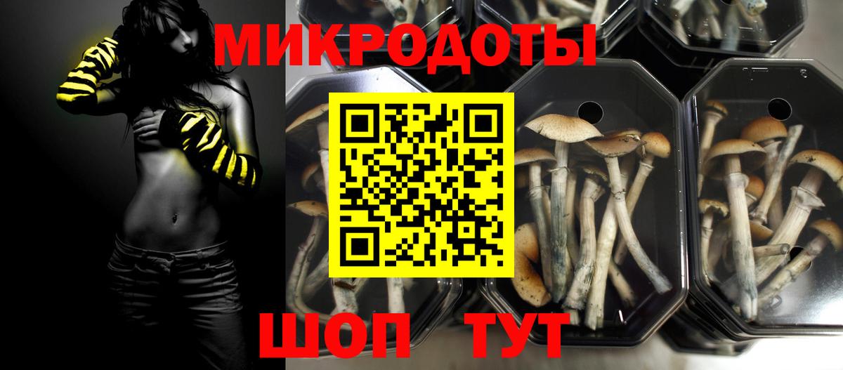 Нижнеудинск  купить   Вход с VPN  Псилоцибиновые грибы мицелий 