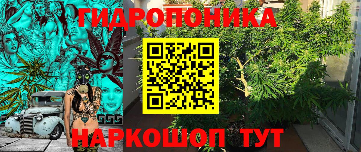 Бошки марихуана SATIVA & INDICA Нижнеудинск